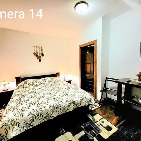 Vila Dariana Vatra Dornei Dış mekan fotoğraf