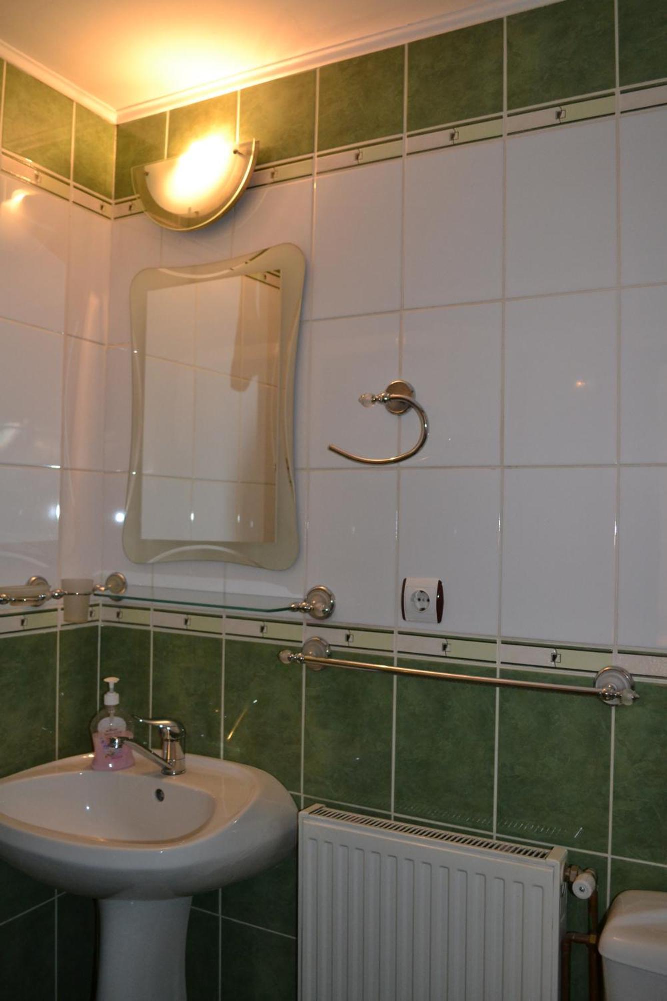 Vila Dariana Vatra Dornei Oda fotoğraf
