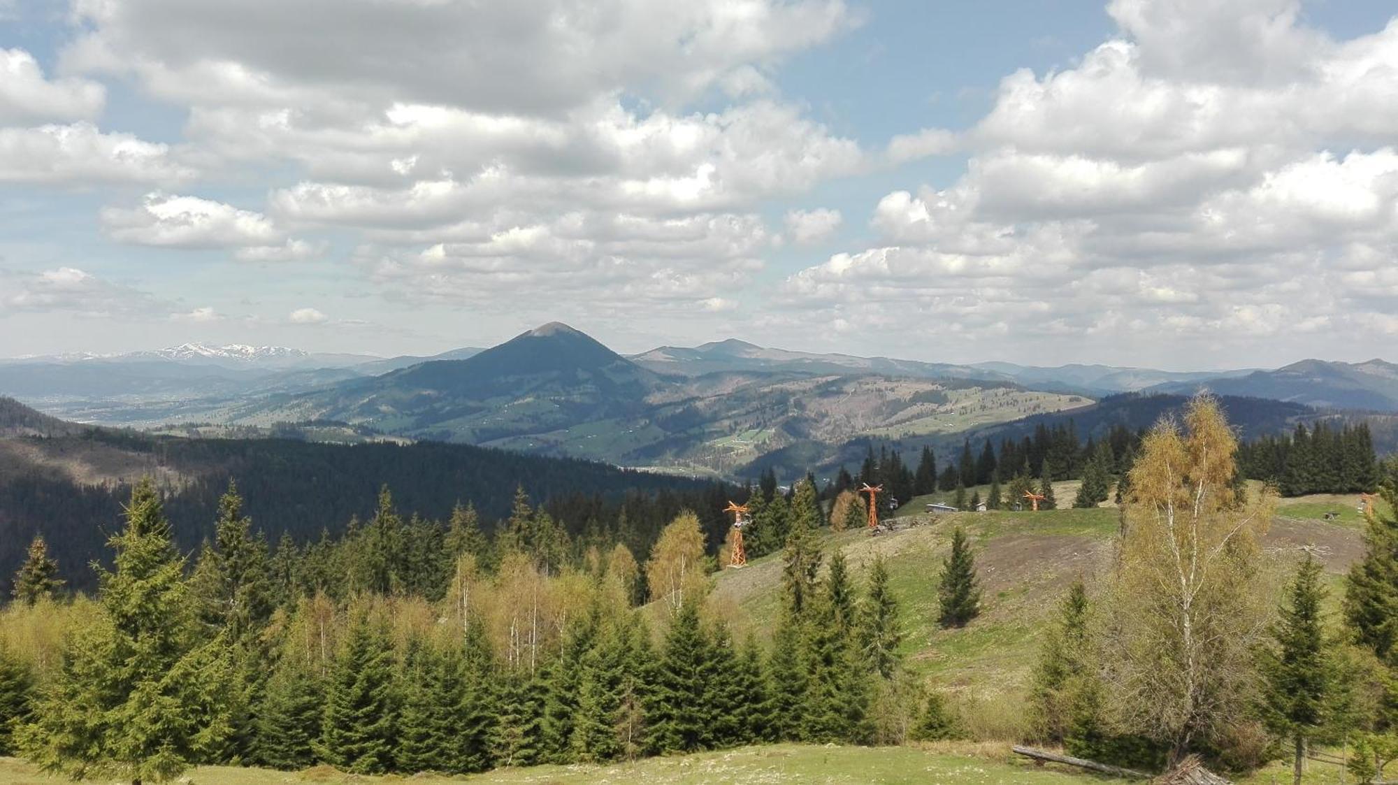 Vila Dariana Vatra Dornei Oda fotoğraf