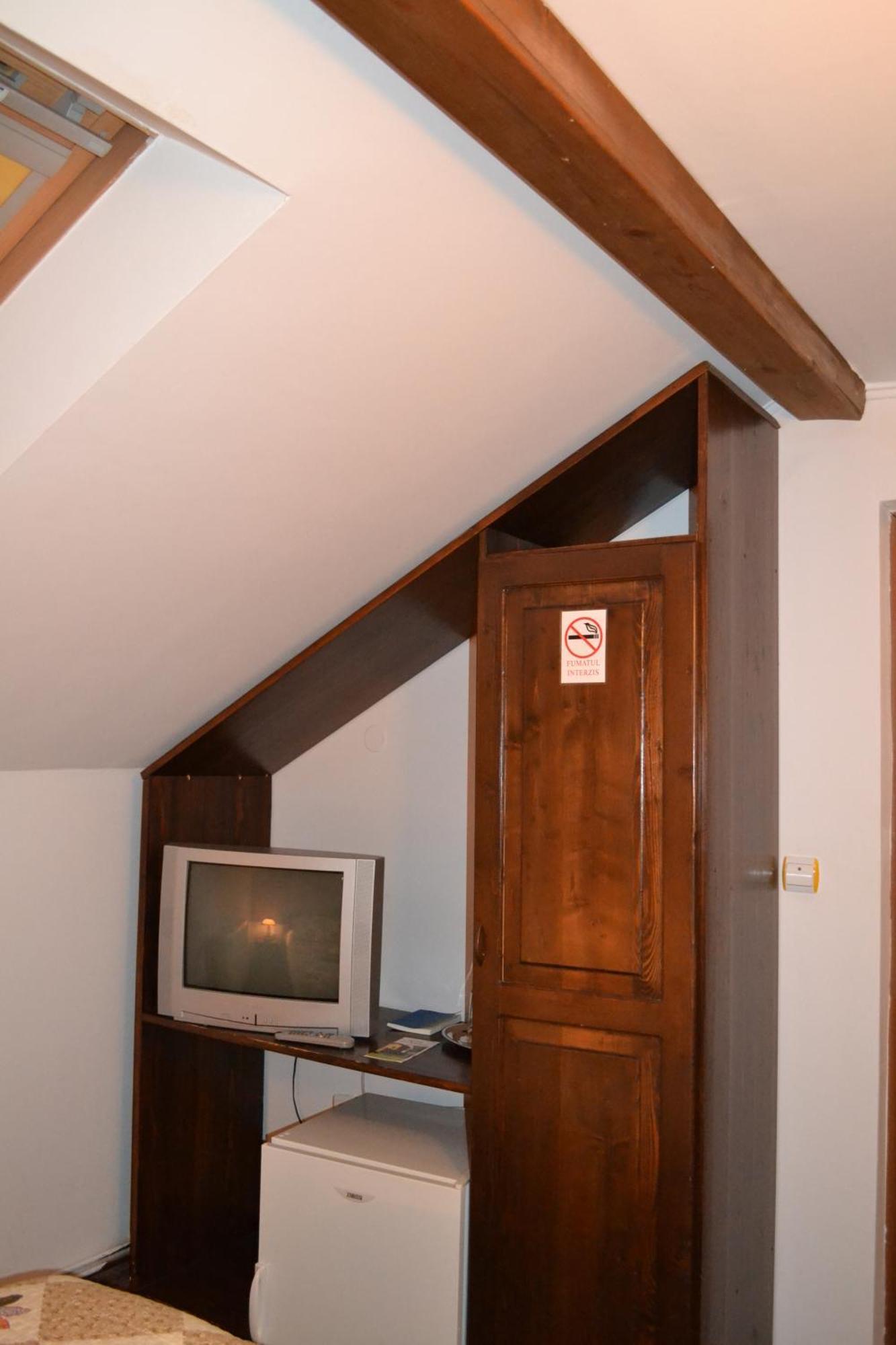 Vila Dariana Vatra Dornei Oda fotoğraf