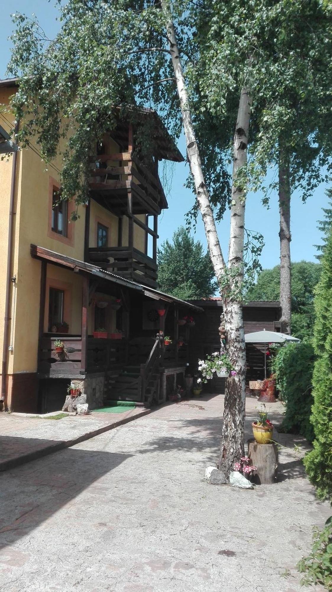 Vila Dariana Vatra Dornei Dış mekan fotoğraf