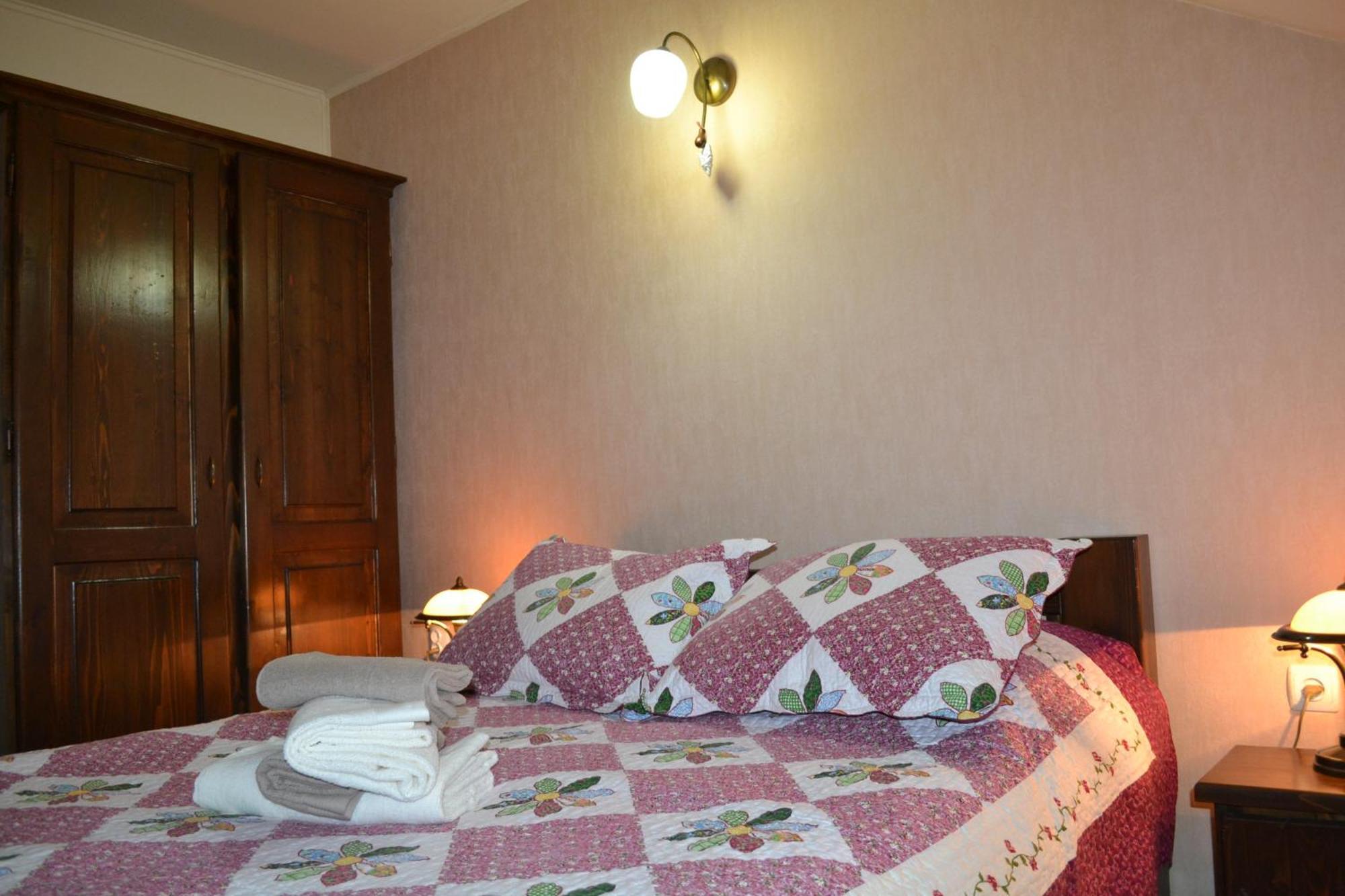 Vila Dariana Vatra Dornei Oda fotoğraf