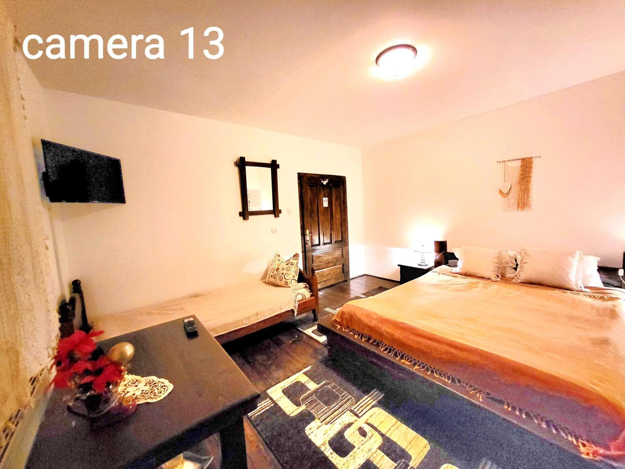 Vila Dariana Vatra Dornei Dış mekan fotoğraf