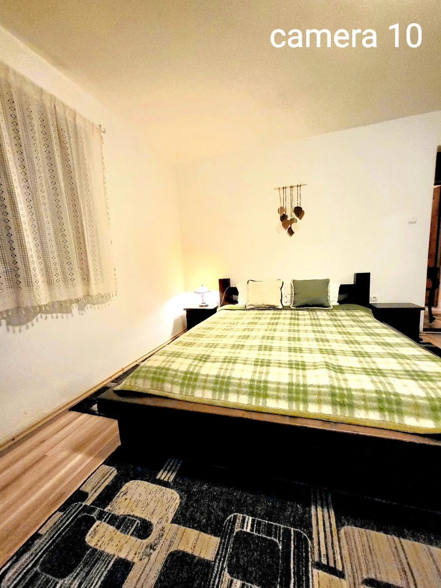 Vila Dariana Vatra Dornei Dış mekan fotoğraf
