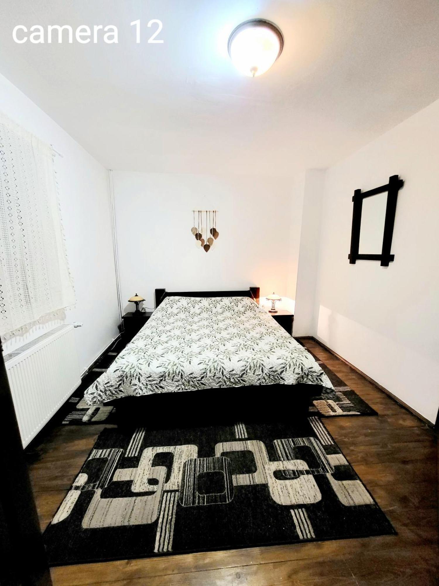 Vila Dariana Vatra Dornei Dış mekan fotoğraf