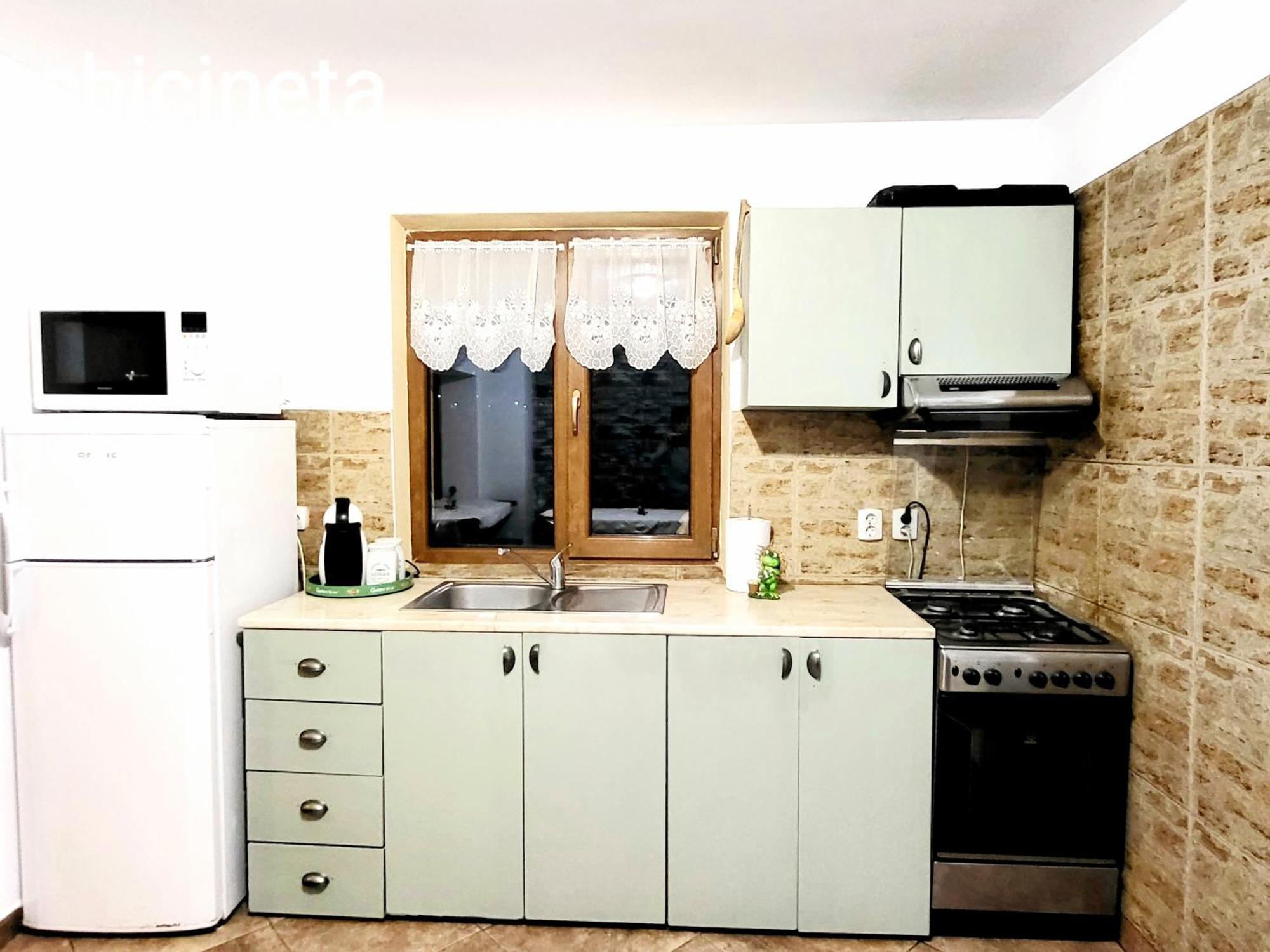 Vila Dariana Vatra Dornei Dış mekan fotoğraf