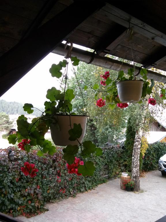 Vila Dariana Vatra Dornei Dış mekan fotoğraf
