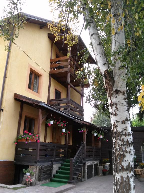 Vila Dariana Vatra Dornei Dış mekan fotoğraf