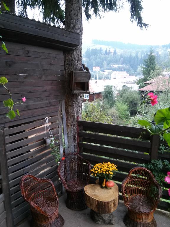 Vila Dariana Vatra Dornei Dış mekan fotoğraf