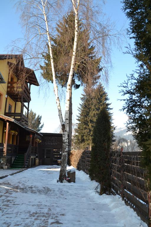 Vila Dariana Vatra Dornei Dış mekan fotoğraf