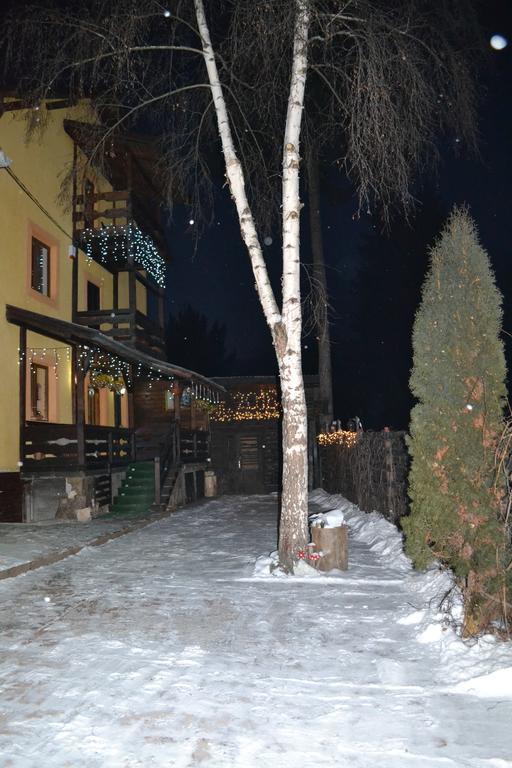 Vila Dariana Vatra Dornei Dış mekan fotoğraf