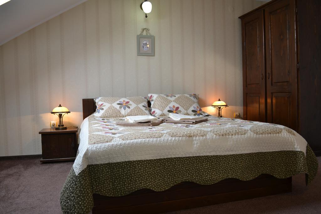 Vila Dariana Vatra Dornei Oda fotoğraf