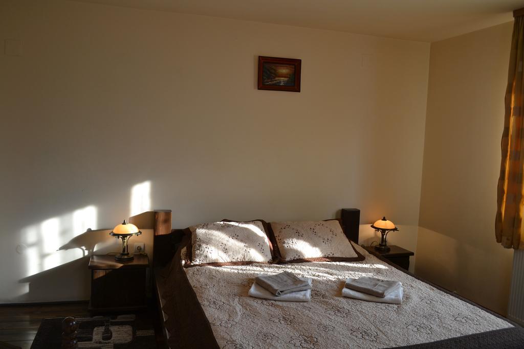 Vila Dariana Vatra Dornei Oda fotoğraf