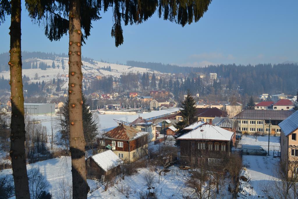 Vila Dariana Vatra Dornei Dış mekan fotoğraf