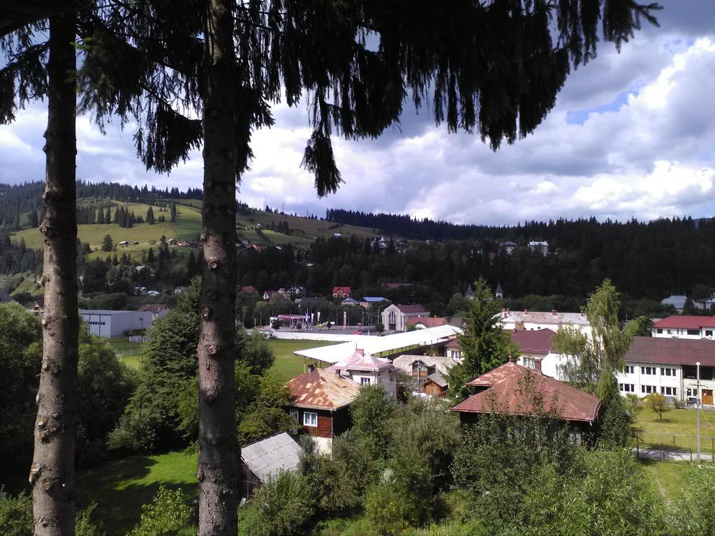 Vila Dariana Vatra Dornei Dış mekan fotoğraf