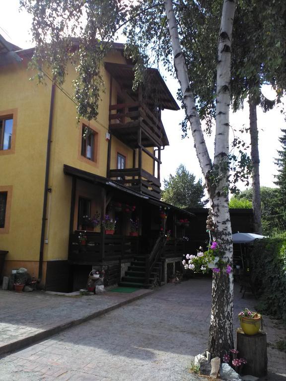 Vila Dariana Vatra Dornei Dış mekan fotoğraf