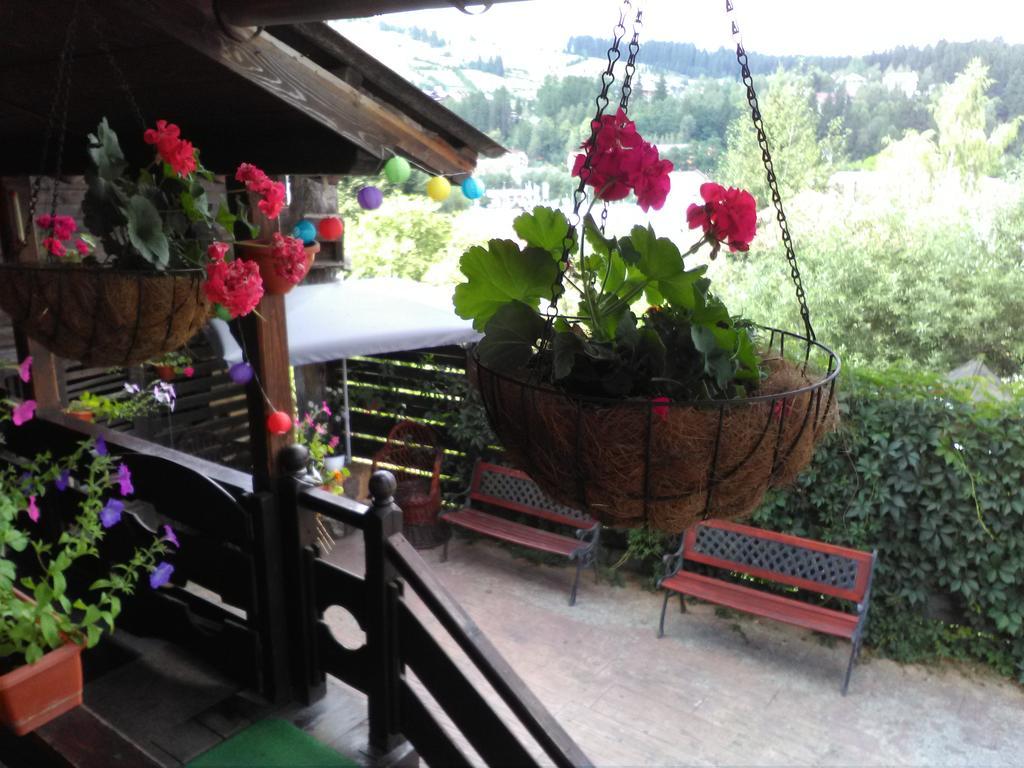 Vila Dariana Vatra Dornei Dış mekan fotoğraf