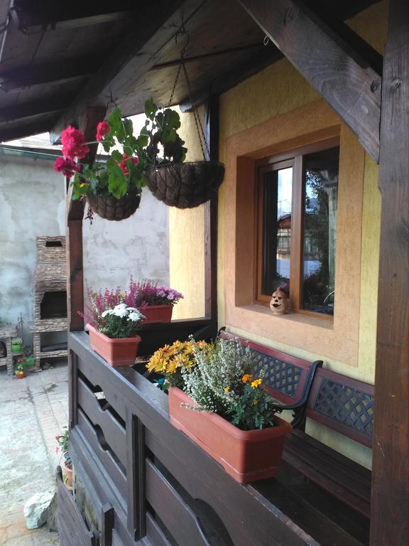 Vila Dariana Vatra Dornei Dış mekan fotoğraf