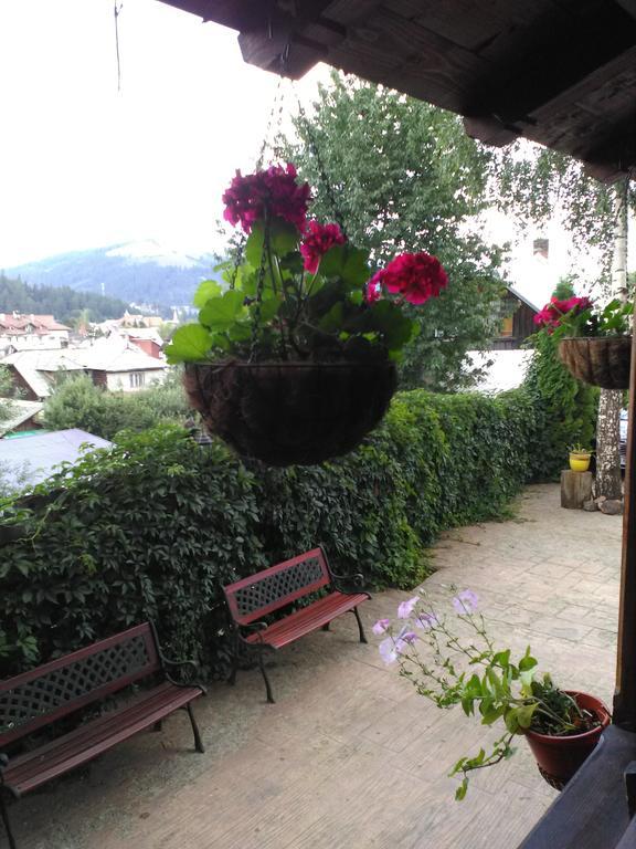 Vila Dariana Vatra Dornei Dış mekan fotoğraf