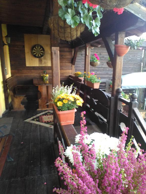 Vila Dariana Vatra Dornei Oda fotoğraf