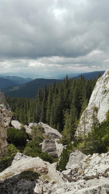 Vila Dariana Vatra Dornei Dış mekan fotoğraf