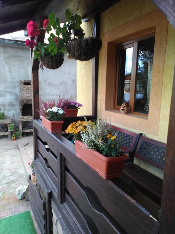 Vila Dariana Vatra Dornei Dış mekan fotoğraf
